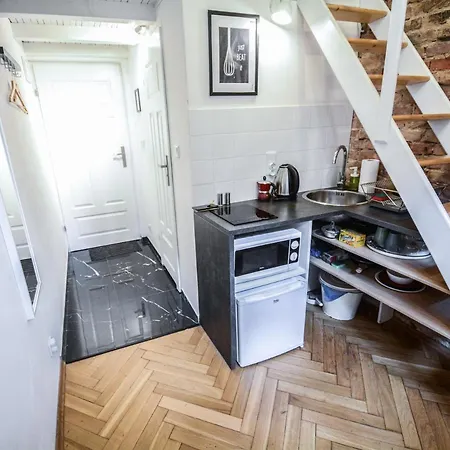 Lion Hotel apartamentowy Kraków